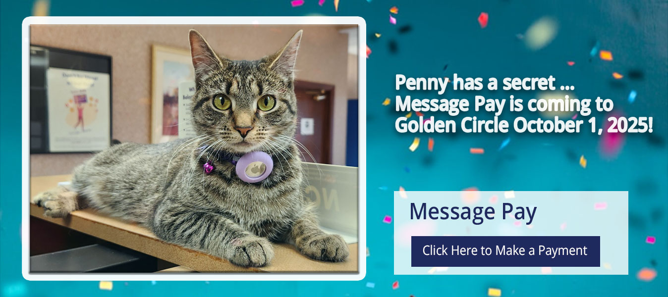 message_Pay